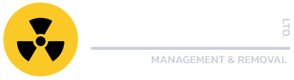 AMR Team