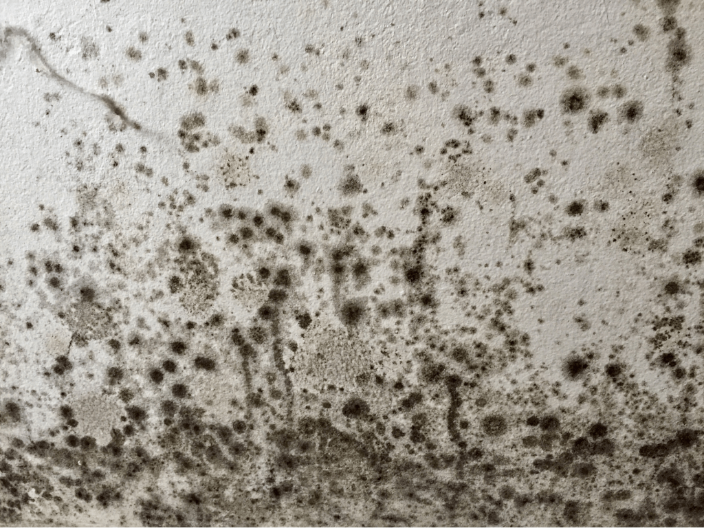 class a asbestos removal