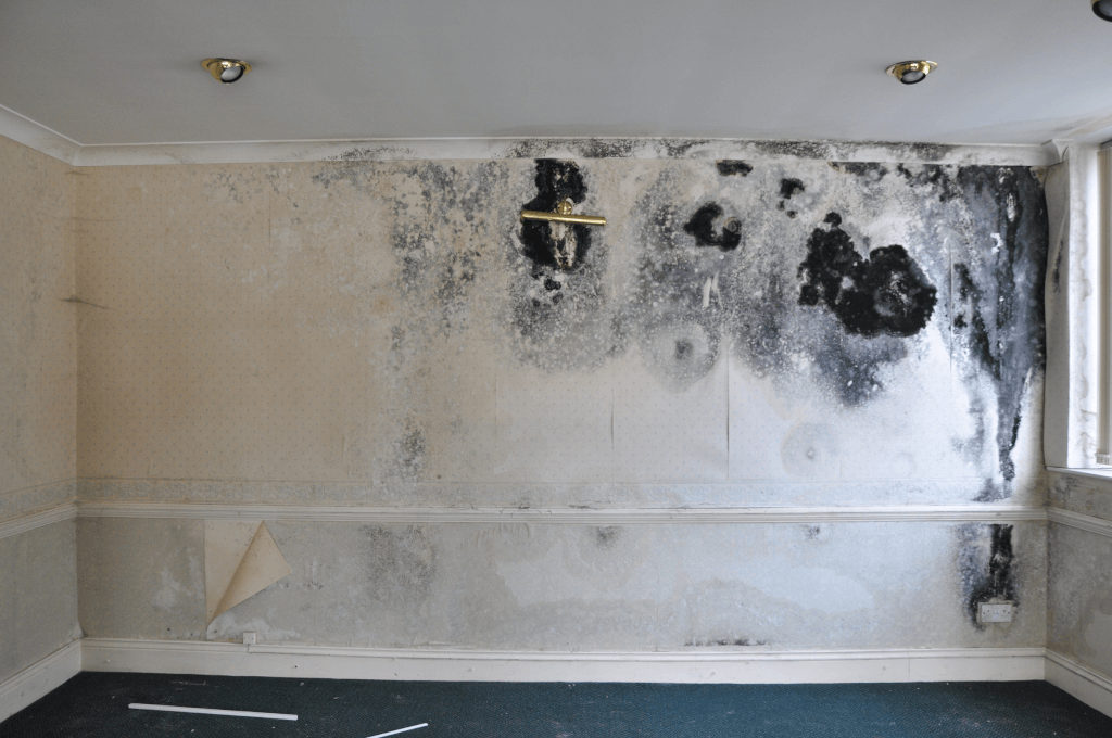 class a asbestos removal